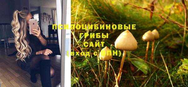 дживик Богородск