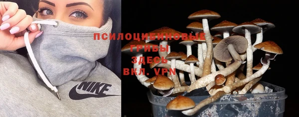 дживик Богородск